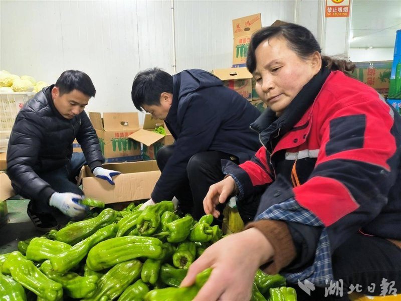海口商贸公司的繁荣与挑战